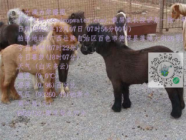 0.mp4