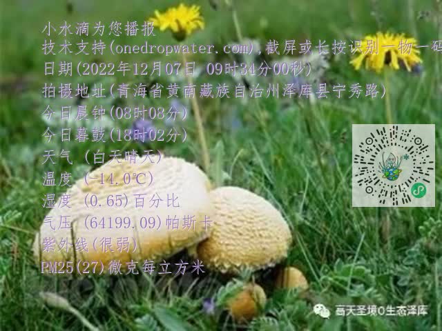 0.mp4