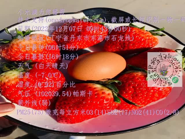 0.mp4