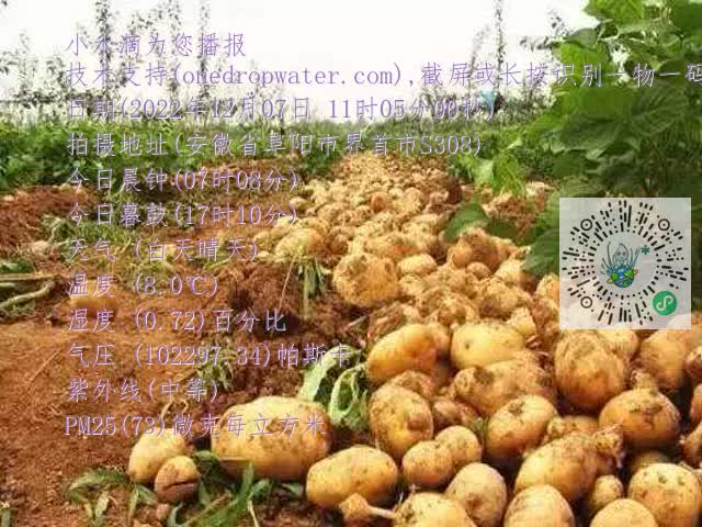 0.mp4