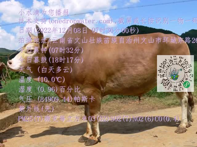 0.mp4