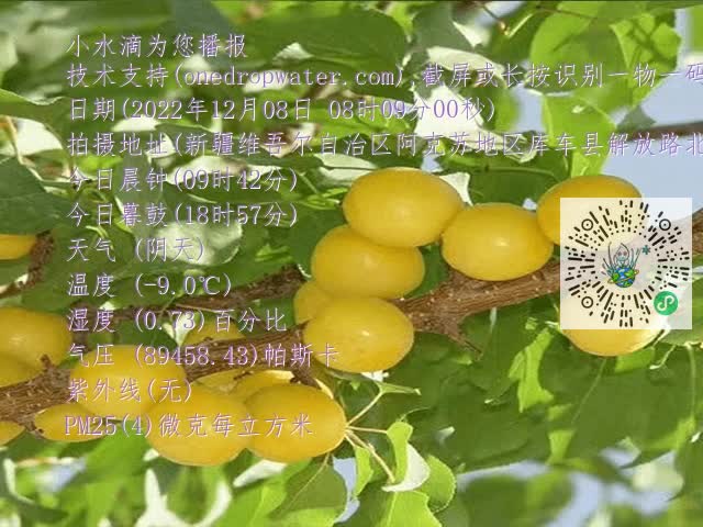67804975fc4d755441263197e25d19dd.mp4