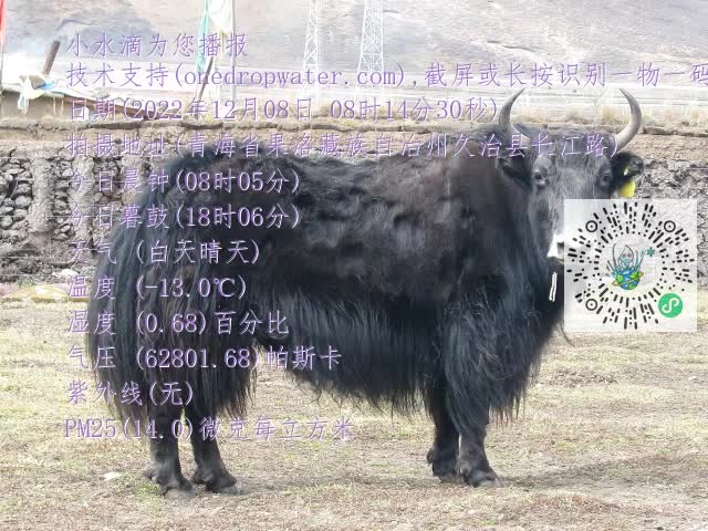 0.mp4