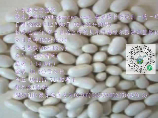 0.mp4