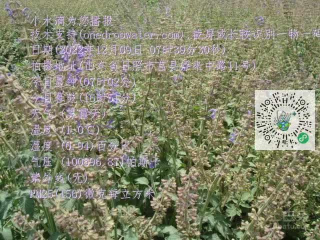 0.mp4