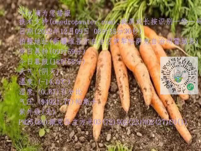 0.mp4