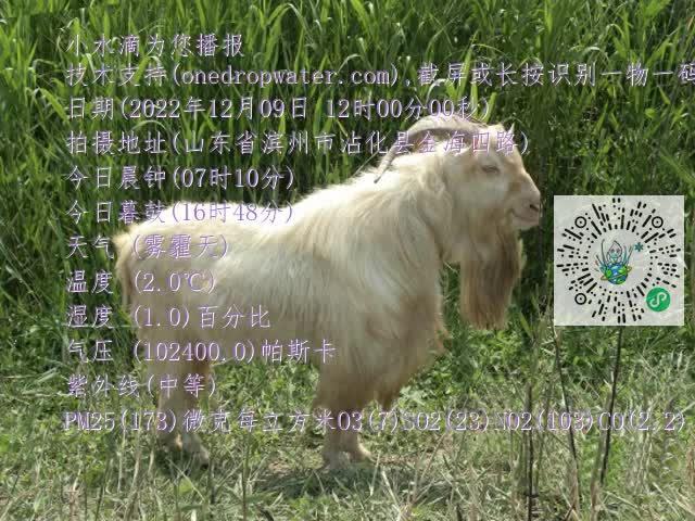0.mp4