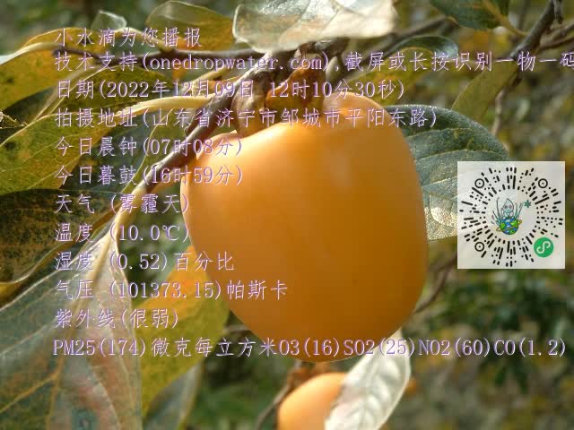 0.mp4