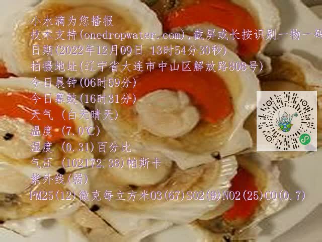0.mp4