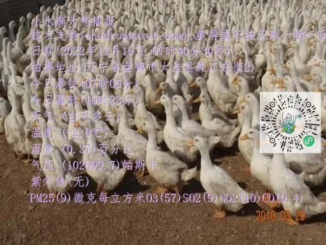 0.mp4