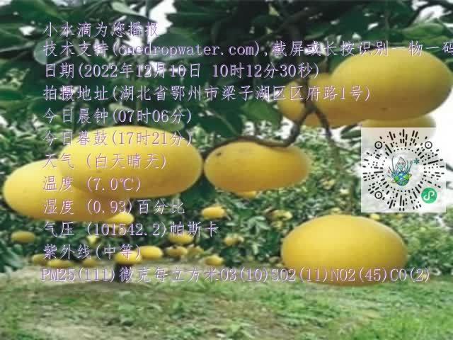0.mp4