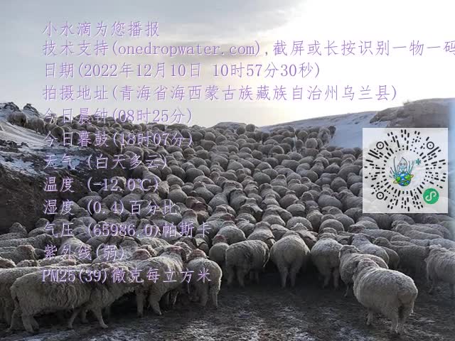 20a37bd5021d21591bac0a734073c578.mp4