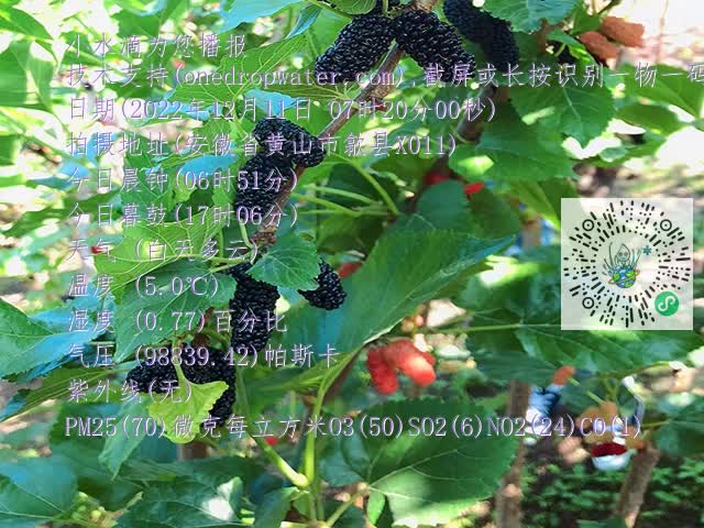 18053b670e2cd33b08f50659850fbd57.mp4
