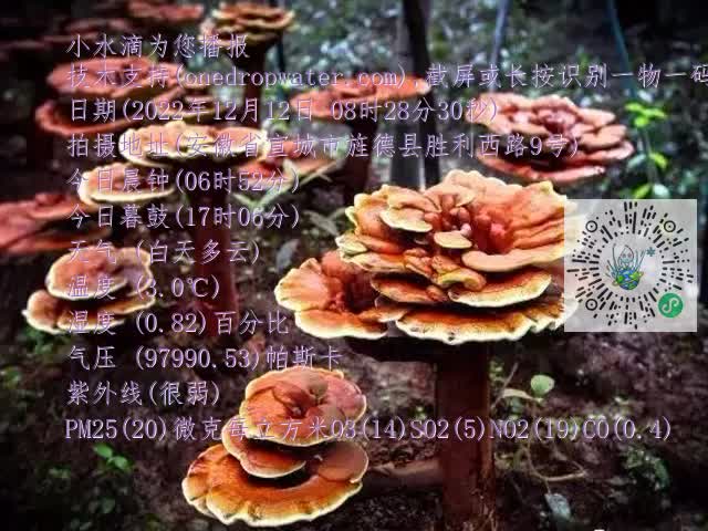 0.mp4