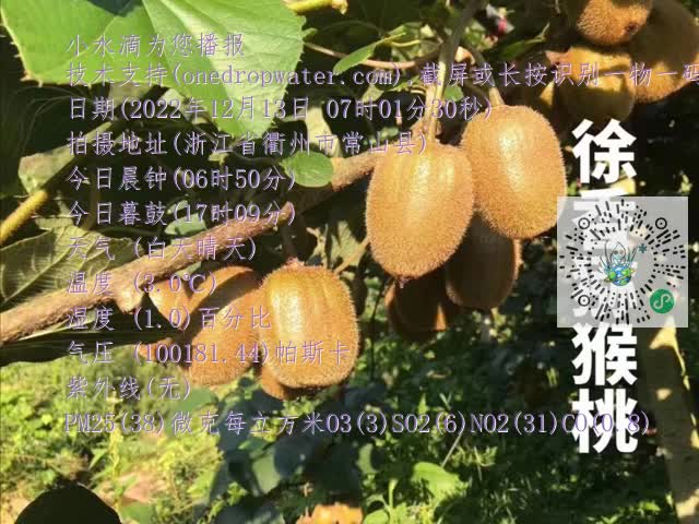 9b0130096f56a94b21ab197725310393.mp4