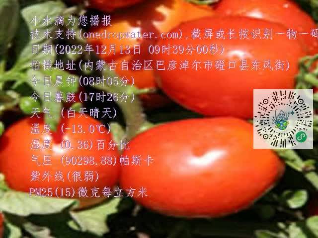 0.mp4