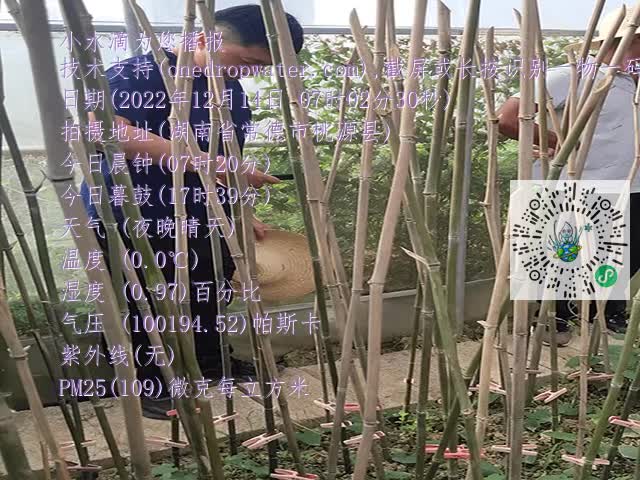 1ca5315187c7915aedcb62a0d18b756b.mp4