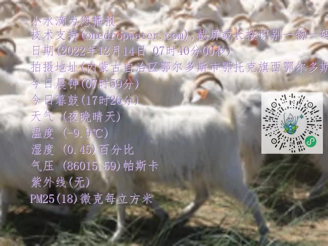 0.mp4
