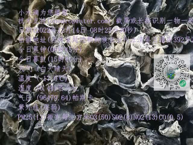 0.mp4