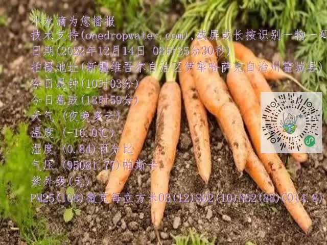 0.mp4