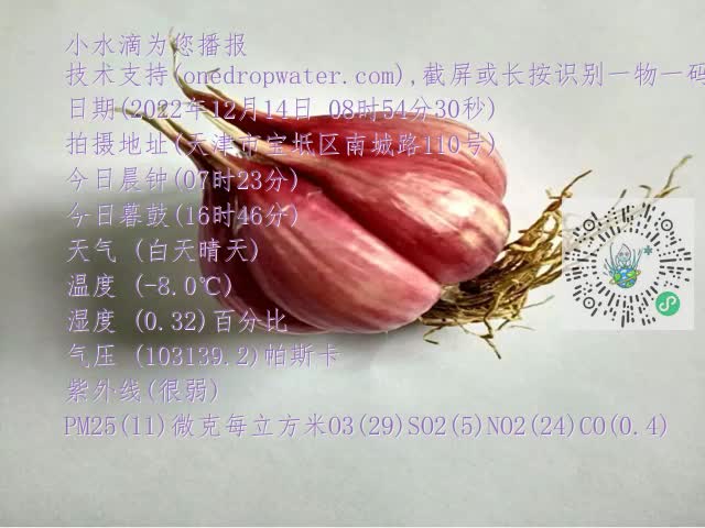 0.mp4