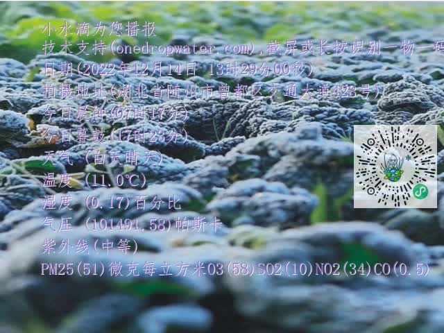 0.mp4
