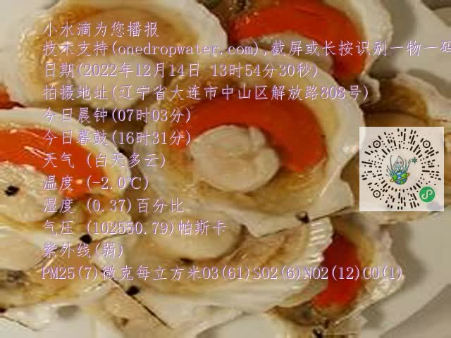 0.mp4