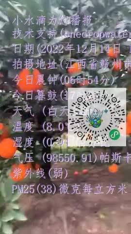 FiXmIia6iv9-UZ6jtsl98YyNIqcymp4
