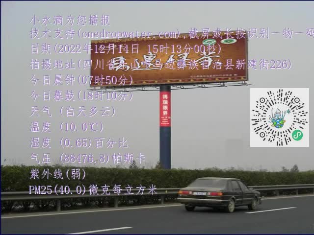 0.mp4