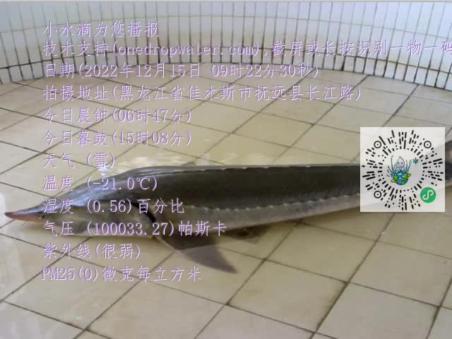 0.mp4