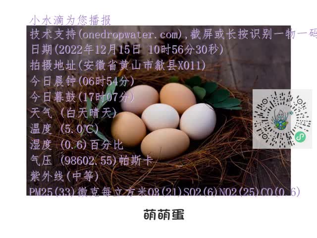 132b7dc3e65df8fe6cae9da93c0655d9.mp4