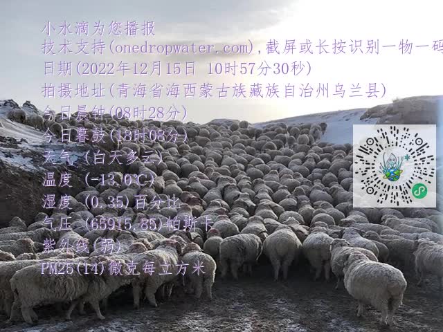 20a37bd5021d21591bac0a734073c578.mp4