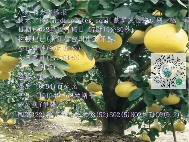 58baec20582cfd55aeb86239075ed9c7.mp4