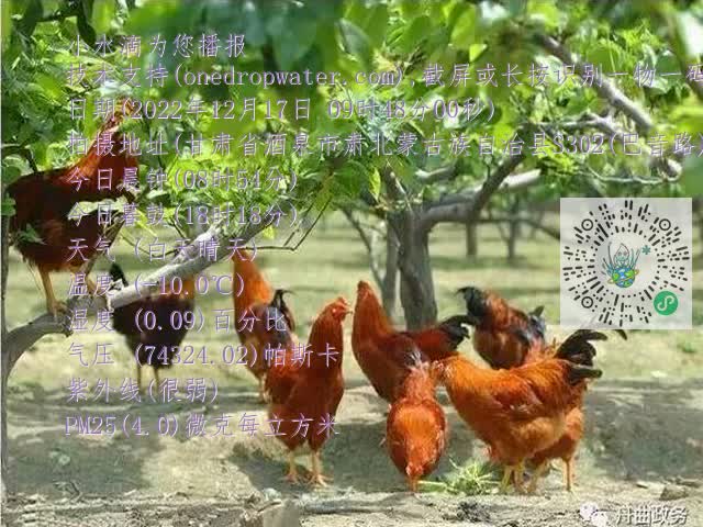 0.mp4