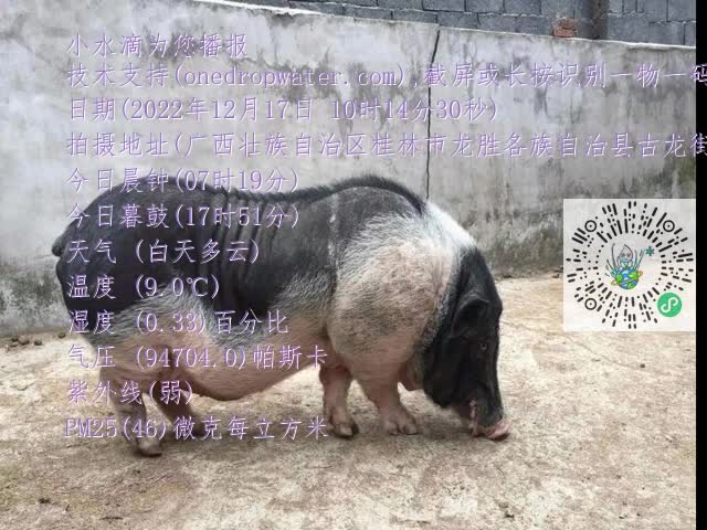0.mp4