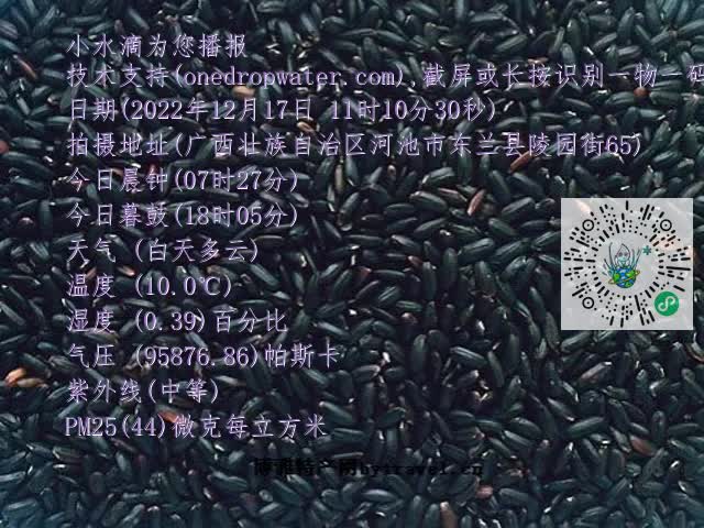 0.mp4