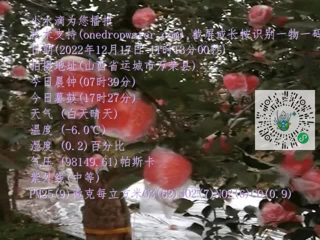 8cfd960e6b4a910dbb1d0699c1b1652b.mp4