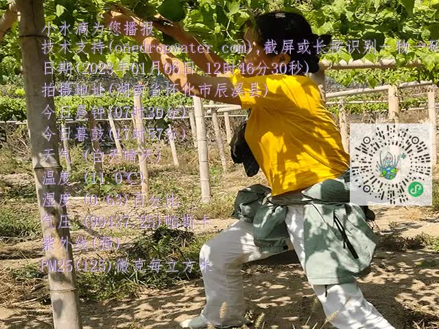 7b9f0b1d29265383552e82c99bdd5699.mp4