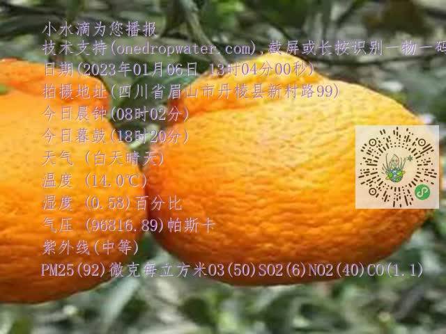 fcd7ad02a655962e6ab6a61dd021584d.mp4