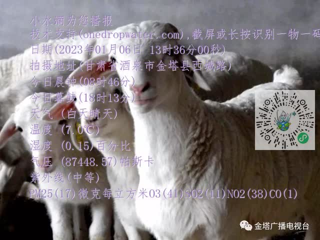 0.mp4