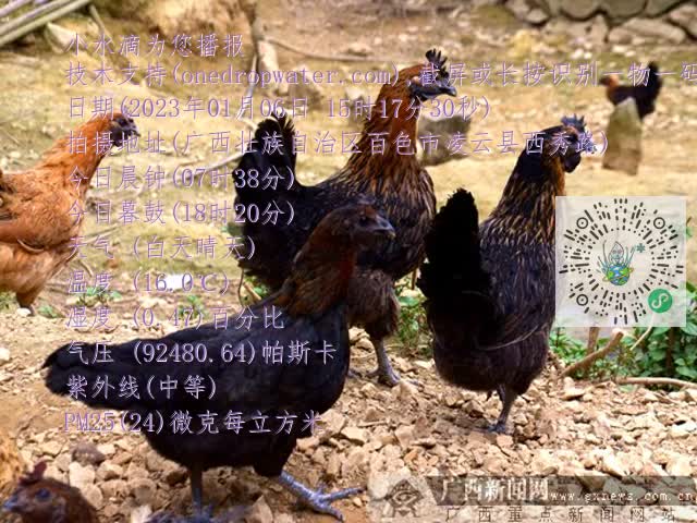 0.mp4