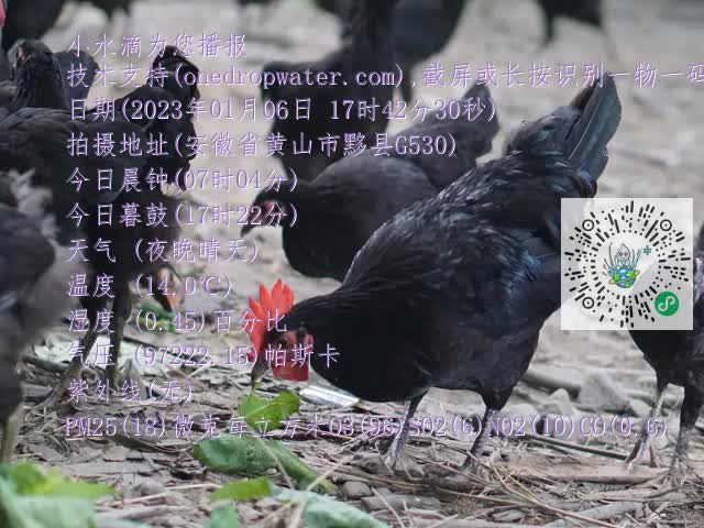 0.mp4