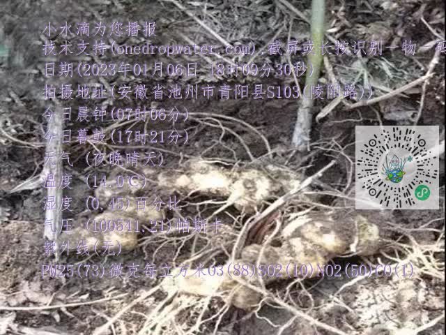 0.mp4