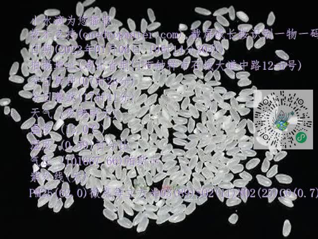 0.mp4