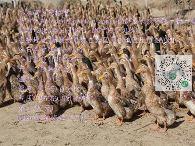 0.mp4
