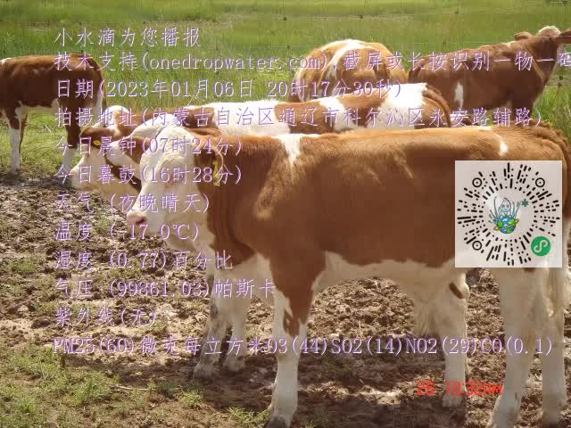0.mp4