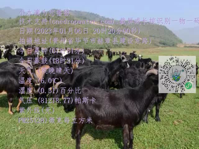 0.mp4