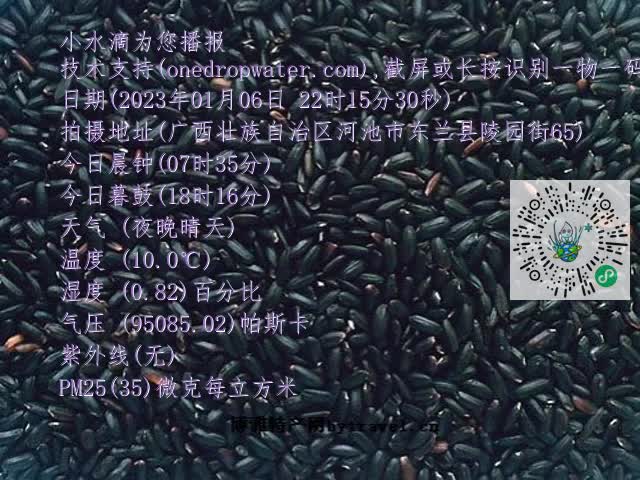 0.mp4