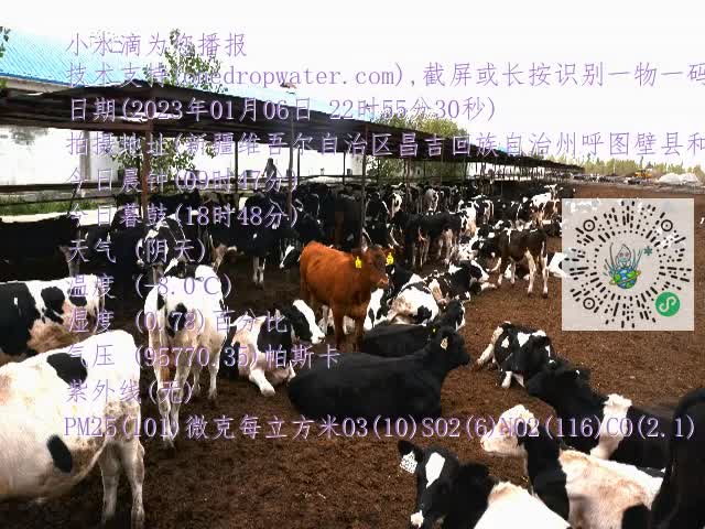 0.mp4