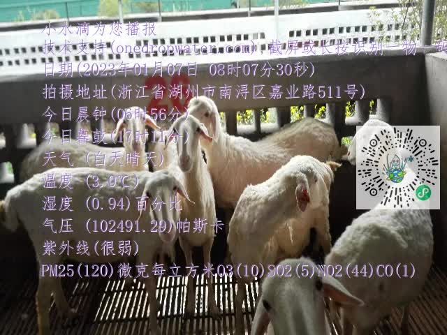 0.mp4